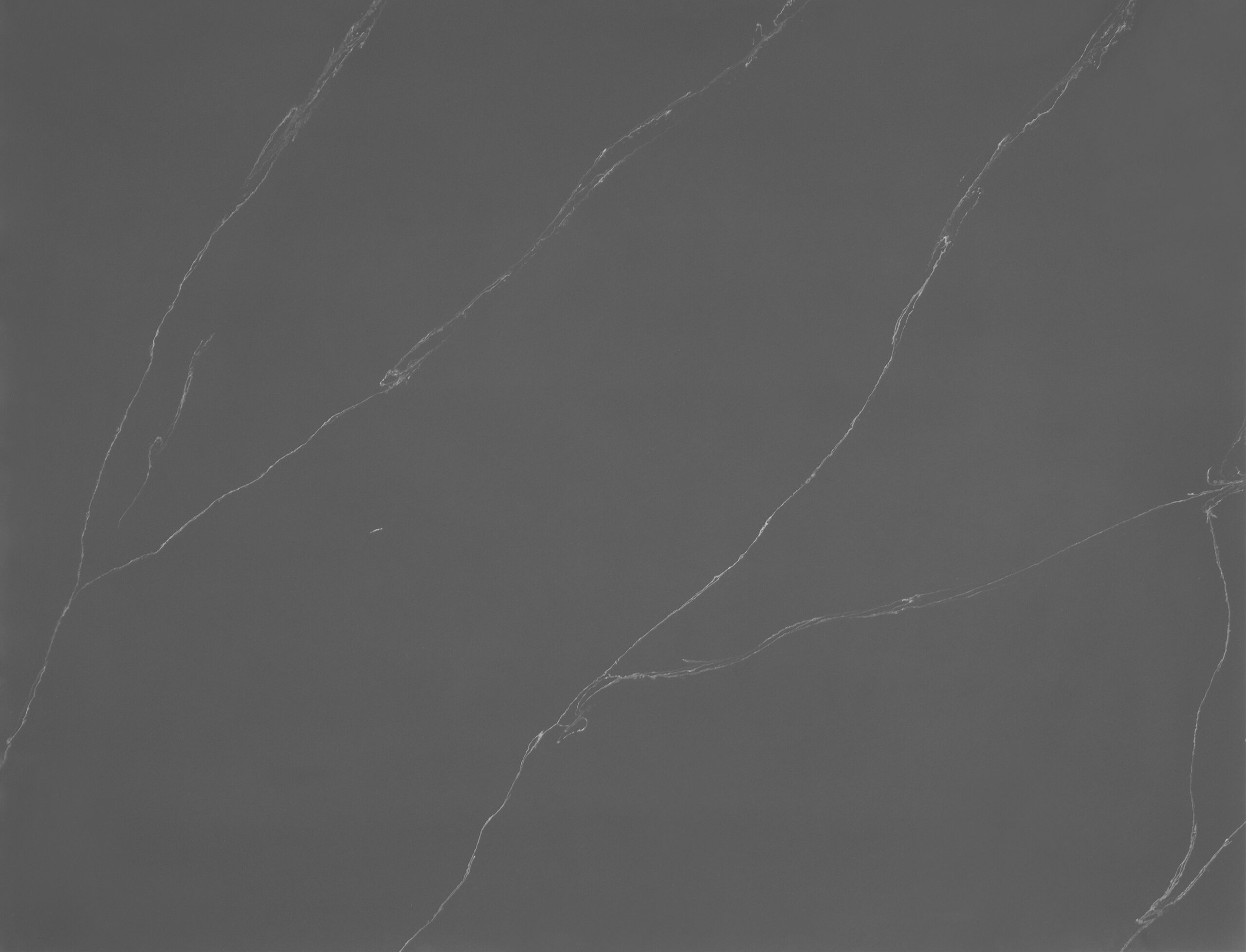 Palladian Grey (20mm Solid Surface)